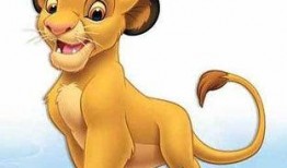 辛巴讽刺爆料者视频合集,视频合集揭露真相背后