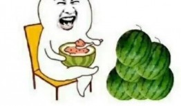 吃瓜娱乐王,揭秘娱乐圈幕后故事，带你领略明星真实生活